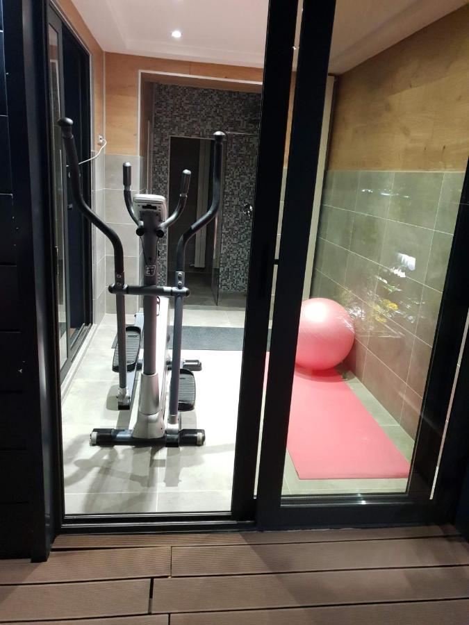 דירות בלגרד Penthouse Lux מראה חיצוני תמונה
