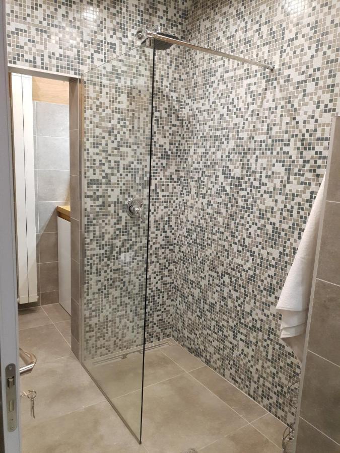 דירות בלגרד Penthouse Lux מראה חיצוני תמונה
